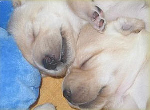 Kuschelzeit Kuschelzeit