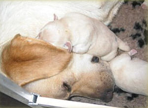 Erstes Kuscheln mit Mama Erstes Kuscheln mit Mama