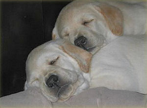 .....und Abigail und Amy miteinander .....und Abigail und Amy miteinander