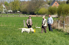 Ben auf dem Parcours... Ben auf dem Parcours...