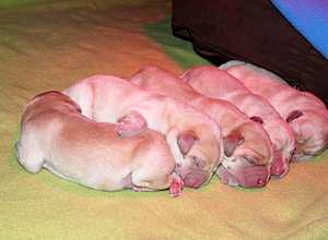 Unsere "Jungs"