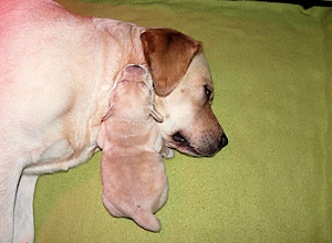 Jette mit Tchterchen Breeze