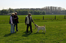 Barney beim Zerrspiel Barney beim Zerrspiel