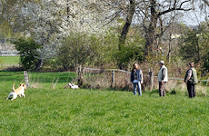 Barcley auf dem Parcours... 