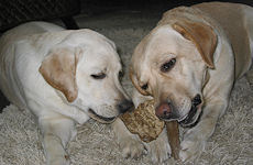 Amelie und Mama Qutie - ein tolles Team Amelie und Mama Qutie - ein tolles Team