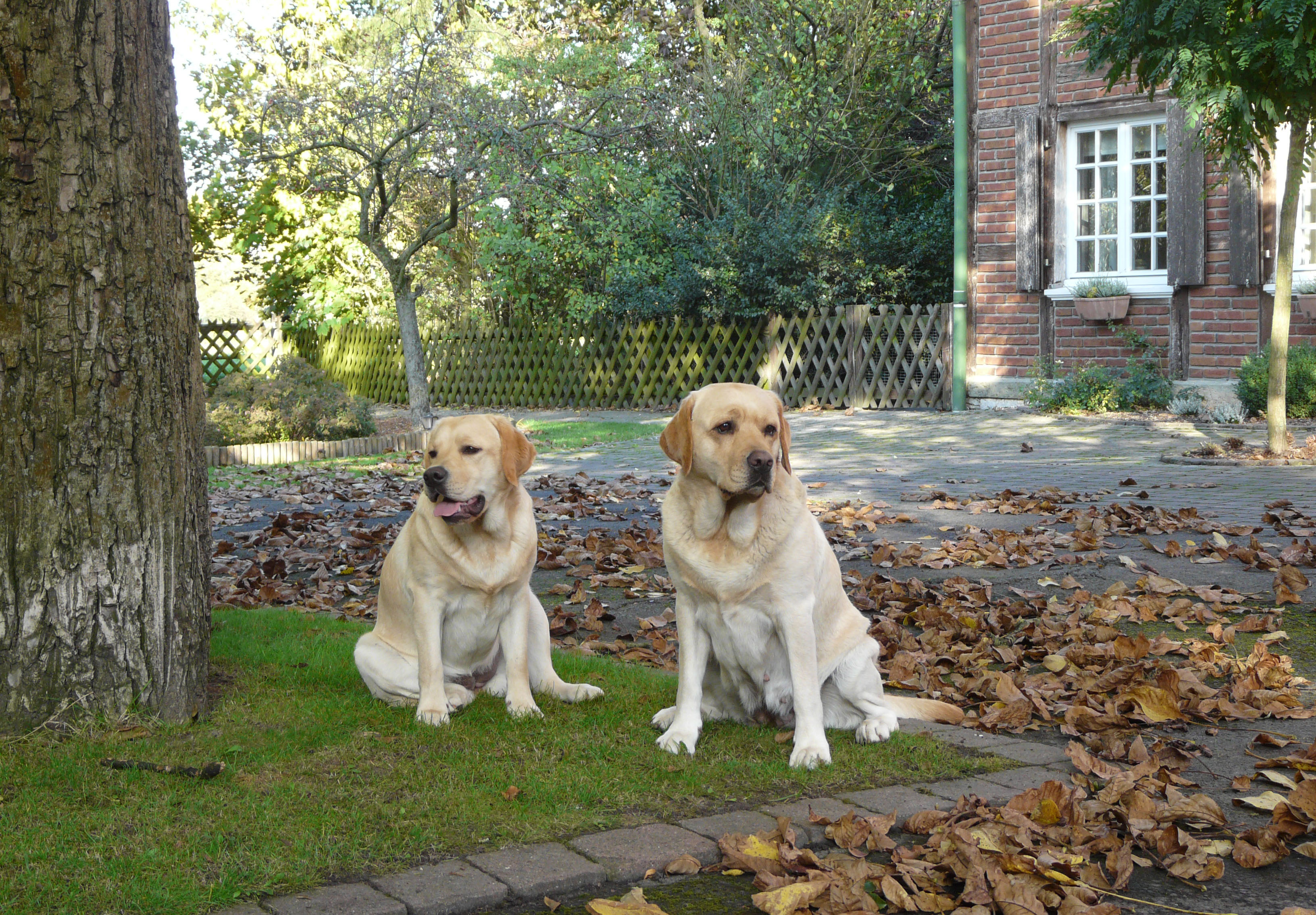 Batida und Mama Jette