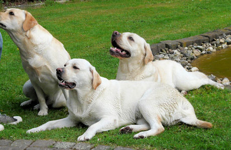 Mama Qutie mit Amelie und Anton Mama Qutie mit Amelie und Anton